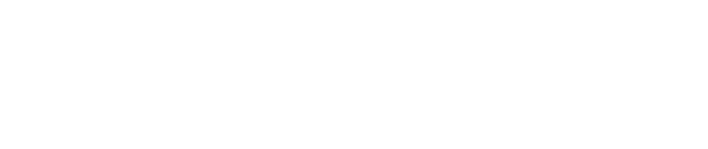 Women Who Cyber Logo